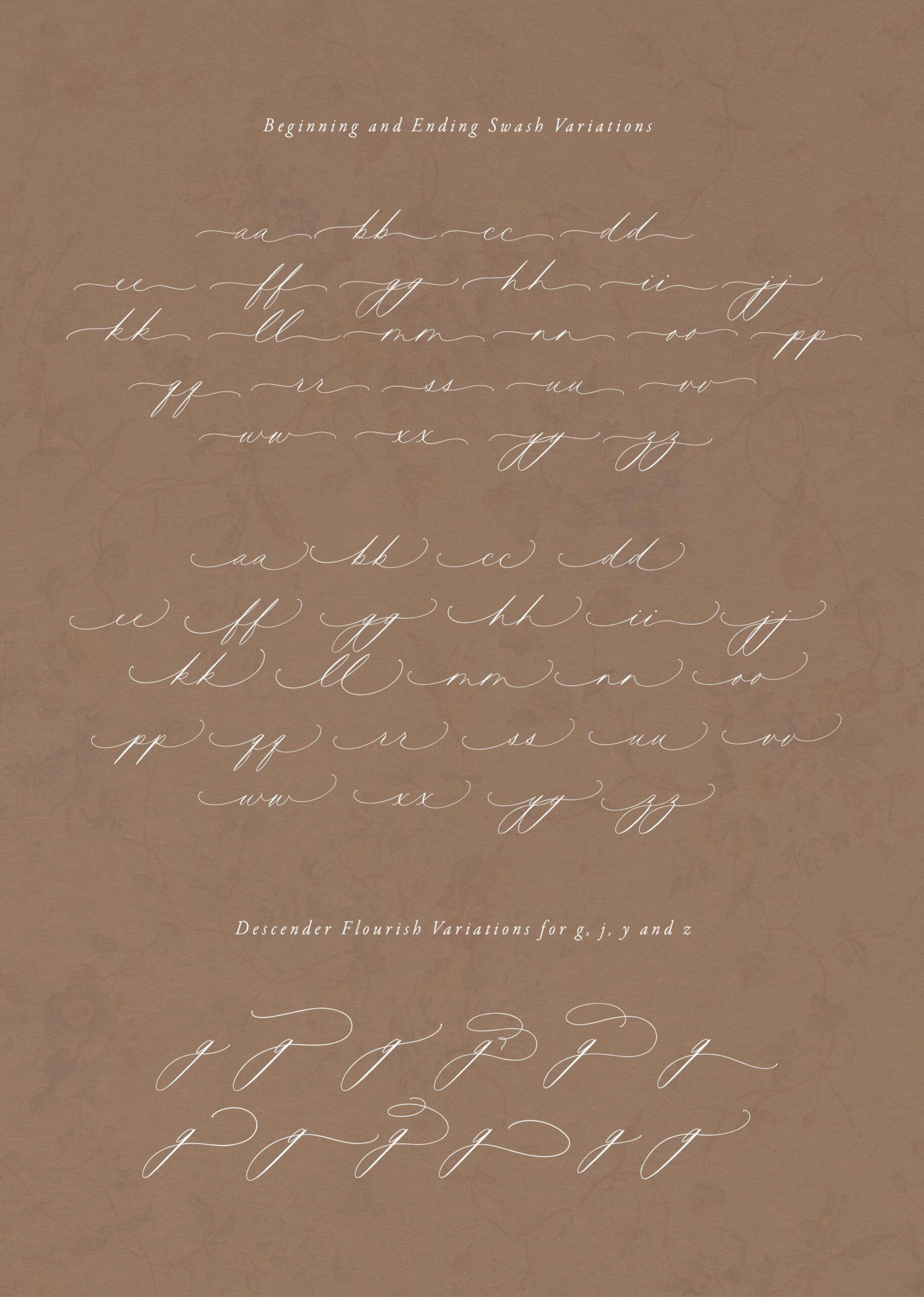 Plume Calligraphy Font — Plume Calligraphy