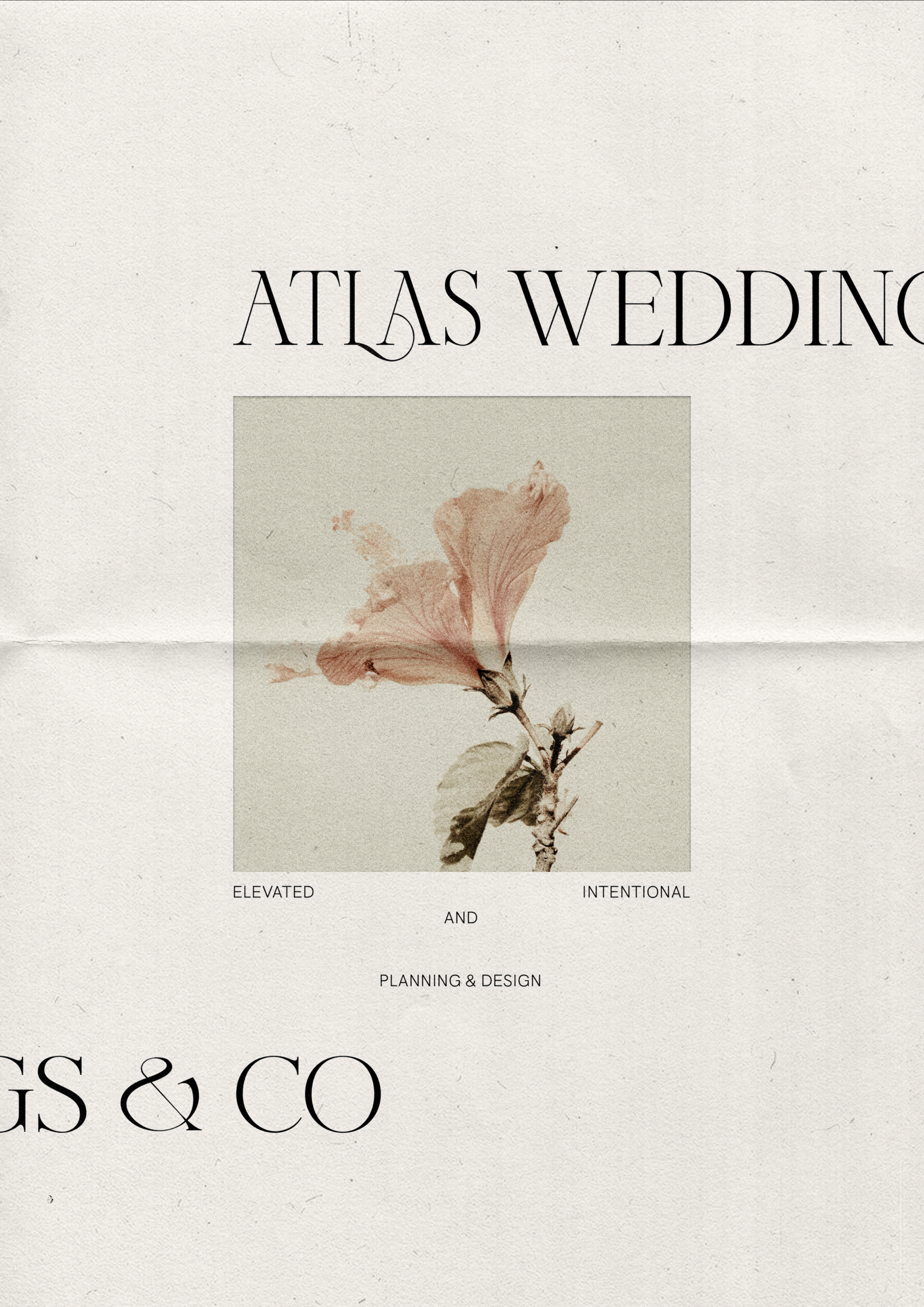 Wedding Planner Branding | The Hurcomb Collective