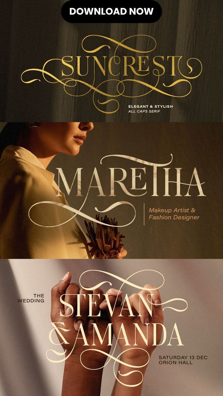 Suncrest Stylish Serif | Creative Market