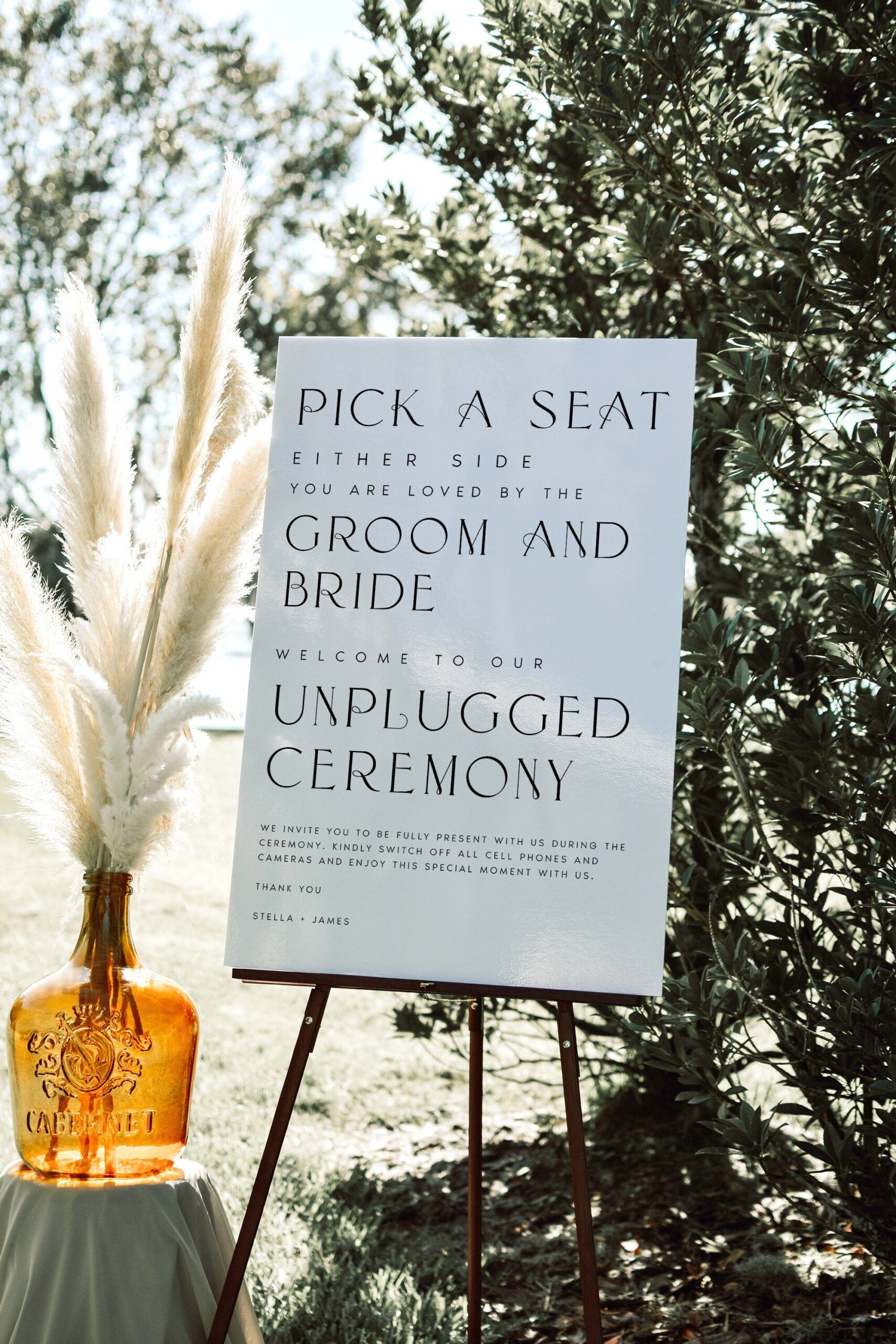 Elegant Pick a Seat Unplugged Wedding Ceremony Sign, No Pictures, No Photos Please, Wedding Welco…