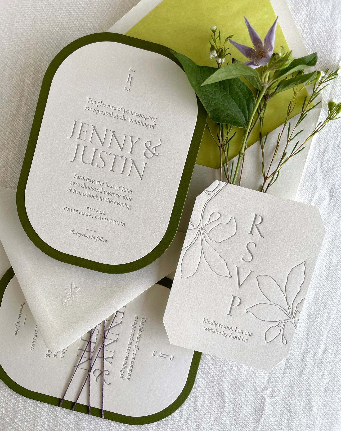 Camellia & Co — Merida Collection Design