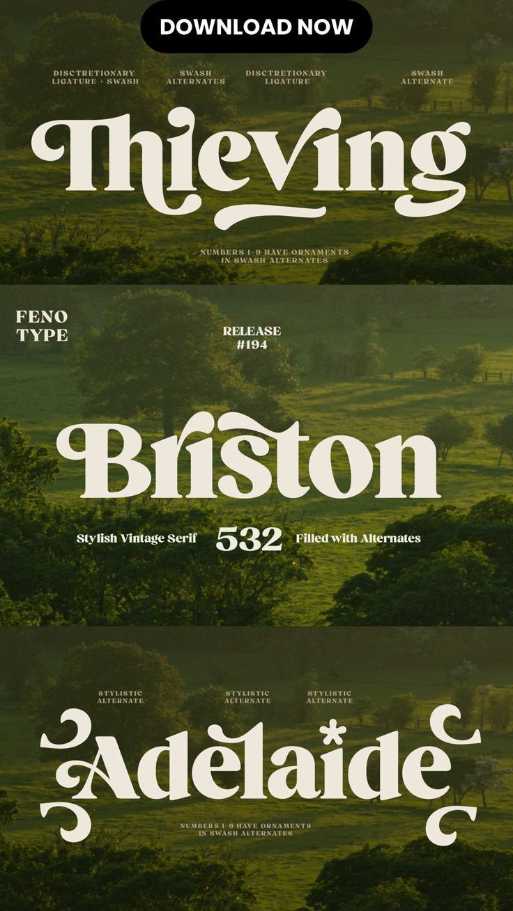 Briston Serif | Creative Market