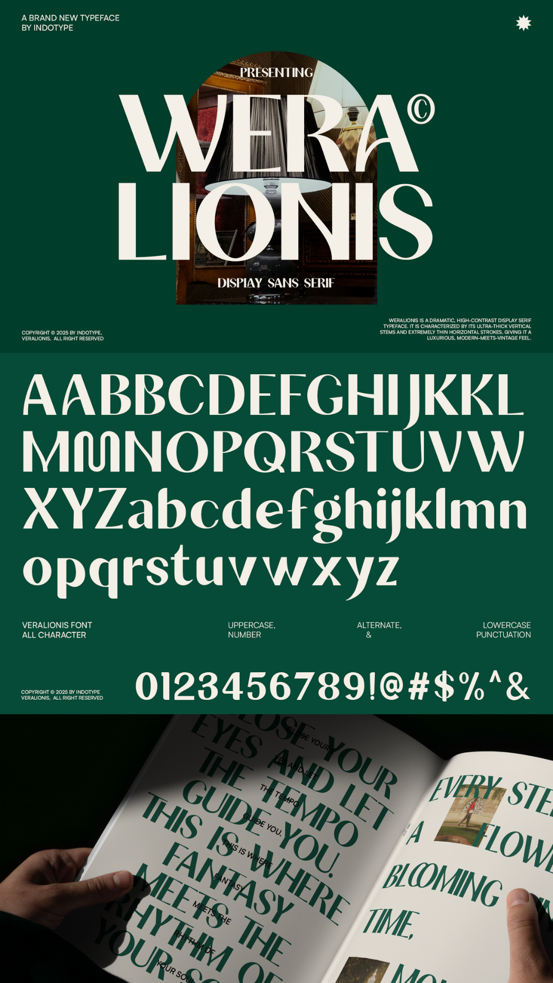 Weralionis High-Contrast Display Serif | Font Design | Font Aesthetic
