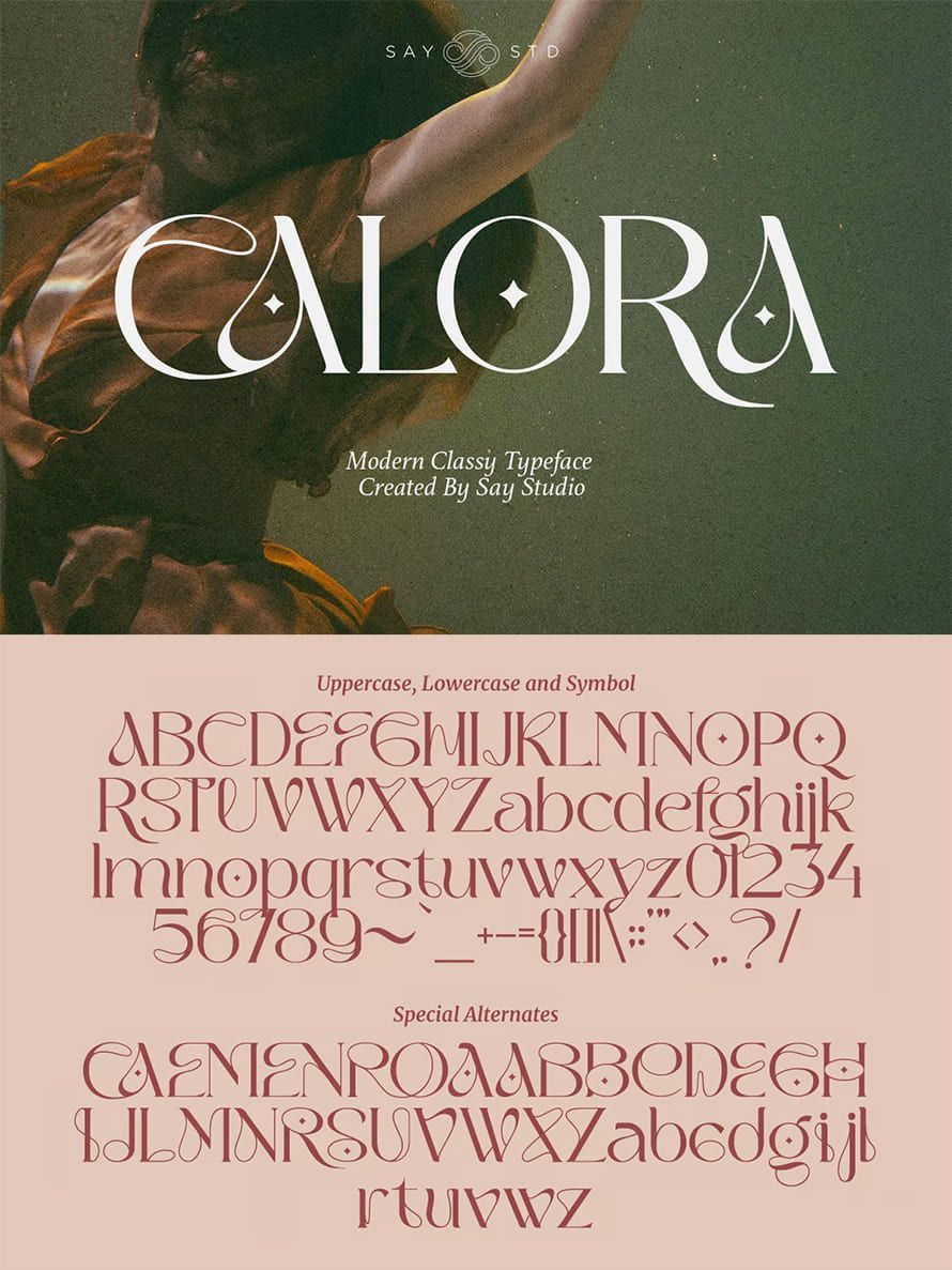 30 Modern Serif Fonts for Clean and Elegant Designs — GDJ