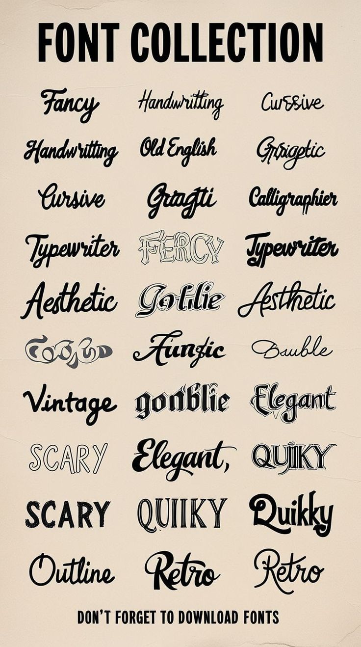 🏵️Fonts (2024) — 194171+ Free & Premium Fonts · Creative Fabrica