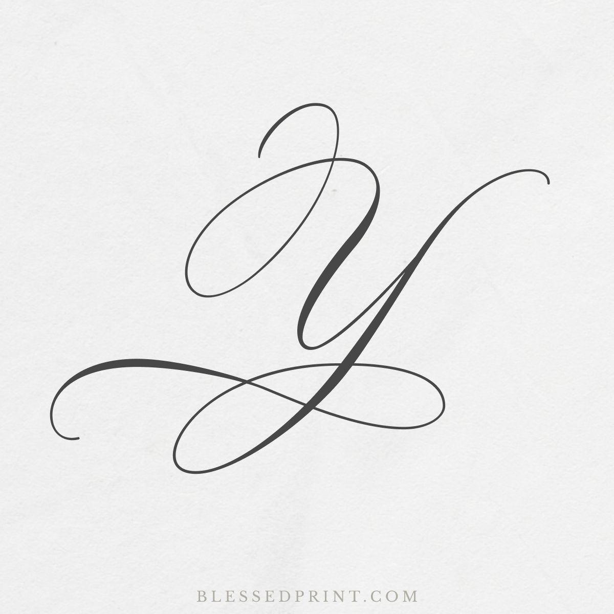 Artistic Y Letterform – Perfect for Logos & Monograms