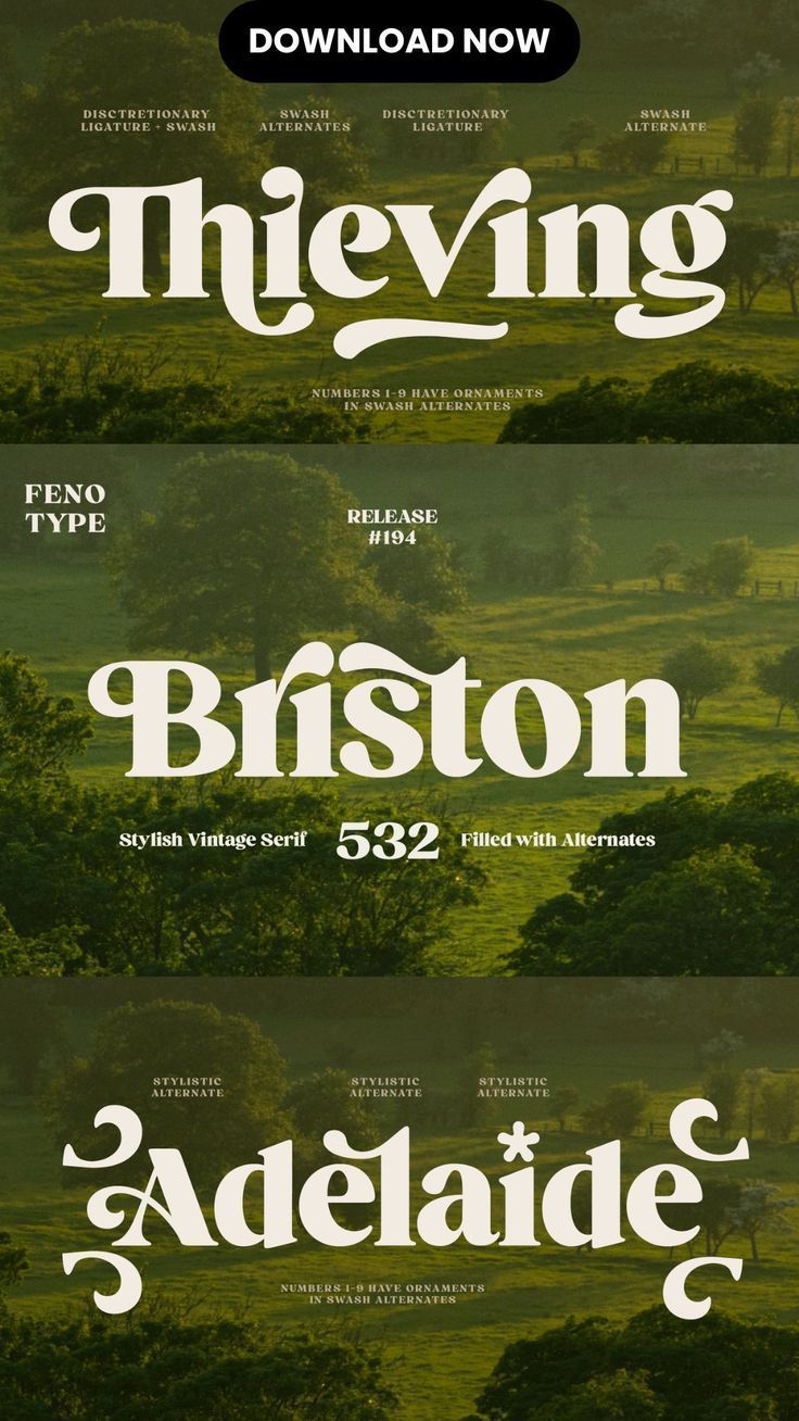 Vintage Serif Fonts for Retro Typography and Canva Designs