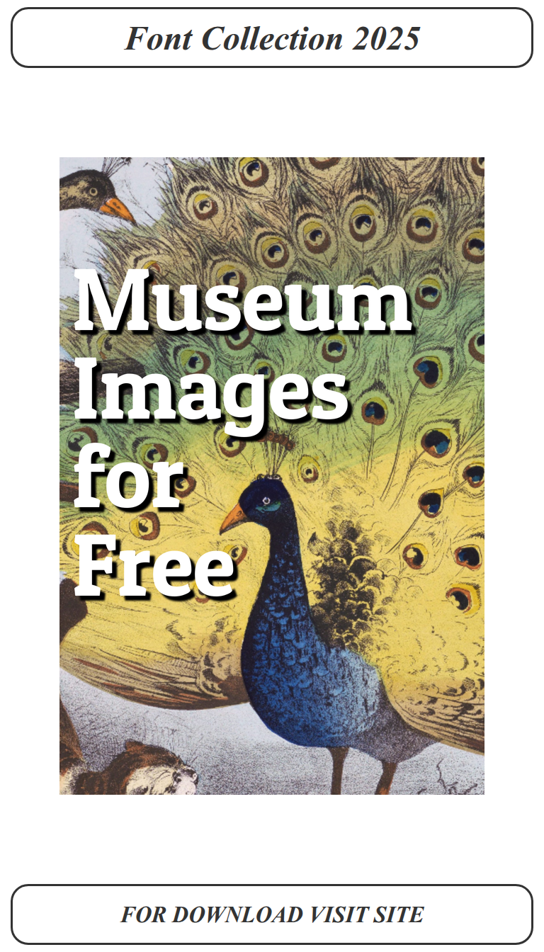 The ultimate script fonts for stunning wedding invitations