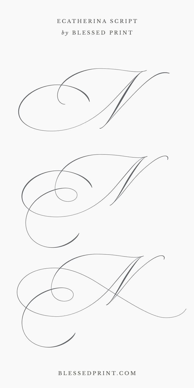 Ecatherina Script – Exquisite Flourished Calligraphy Font