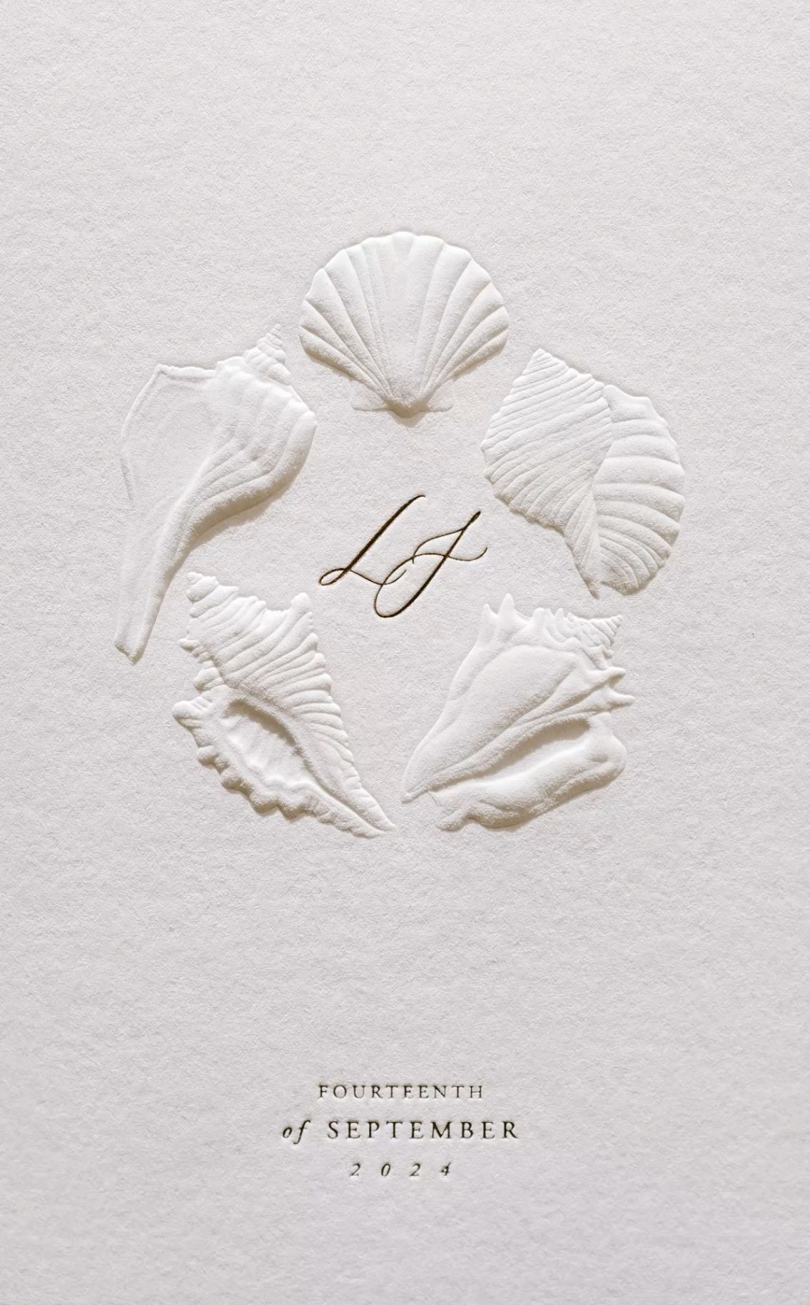 Sculpture Embossed Shells 🐚