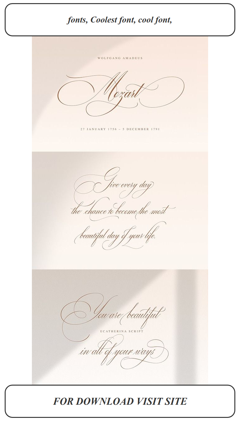 The ultimate vintage font collection for standout branding projects