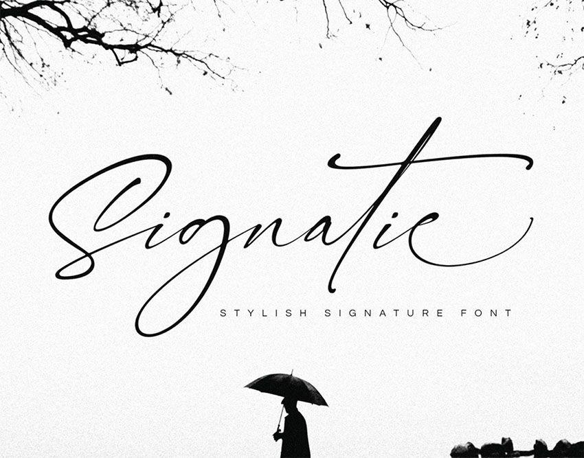 30+ Free Signature Fonts (Script Fonts to Download Now)
