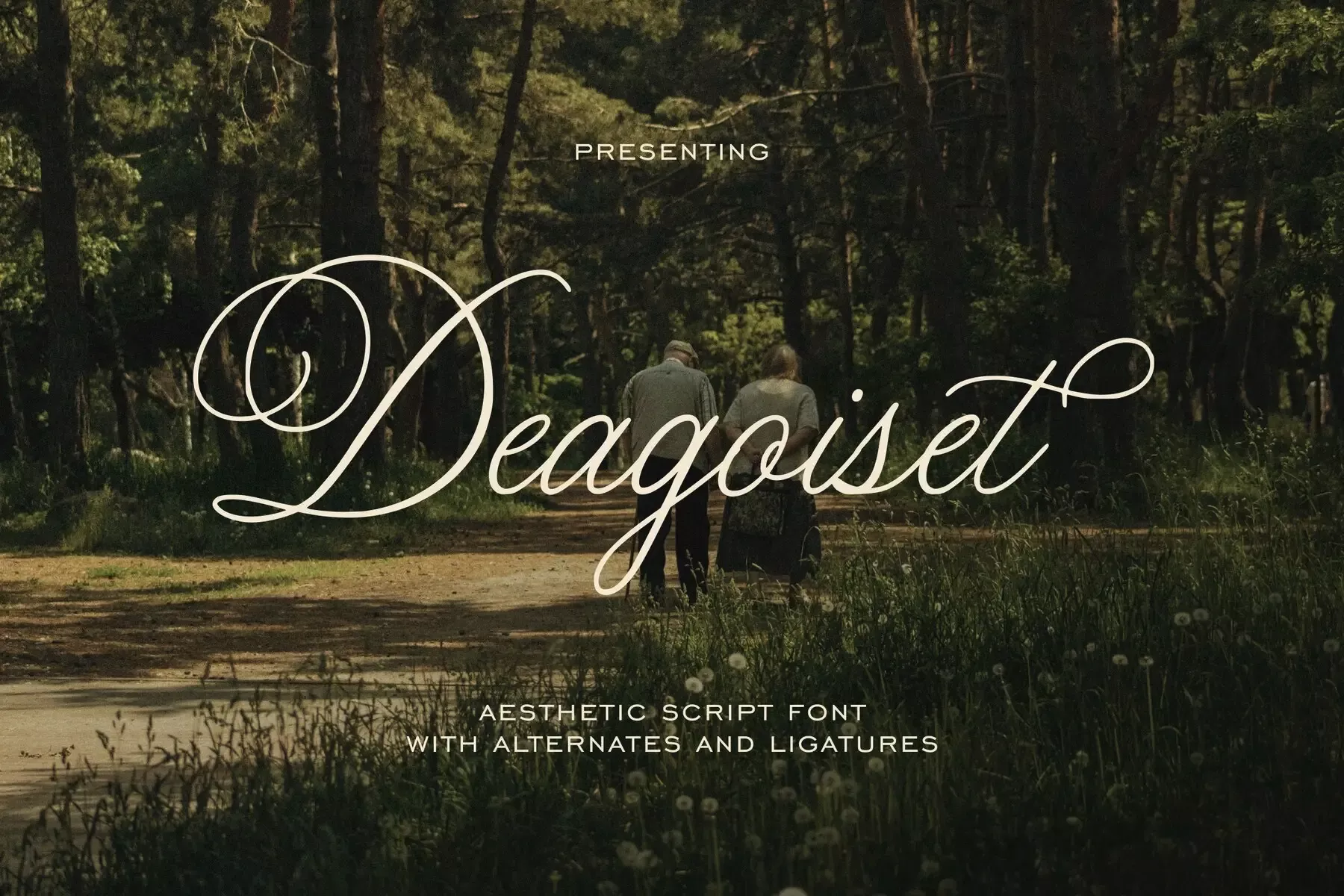 Deagoiset Font — YouWorkForThem