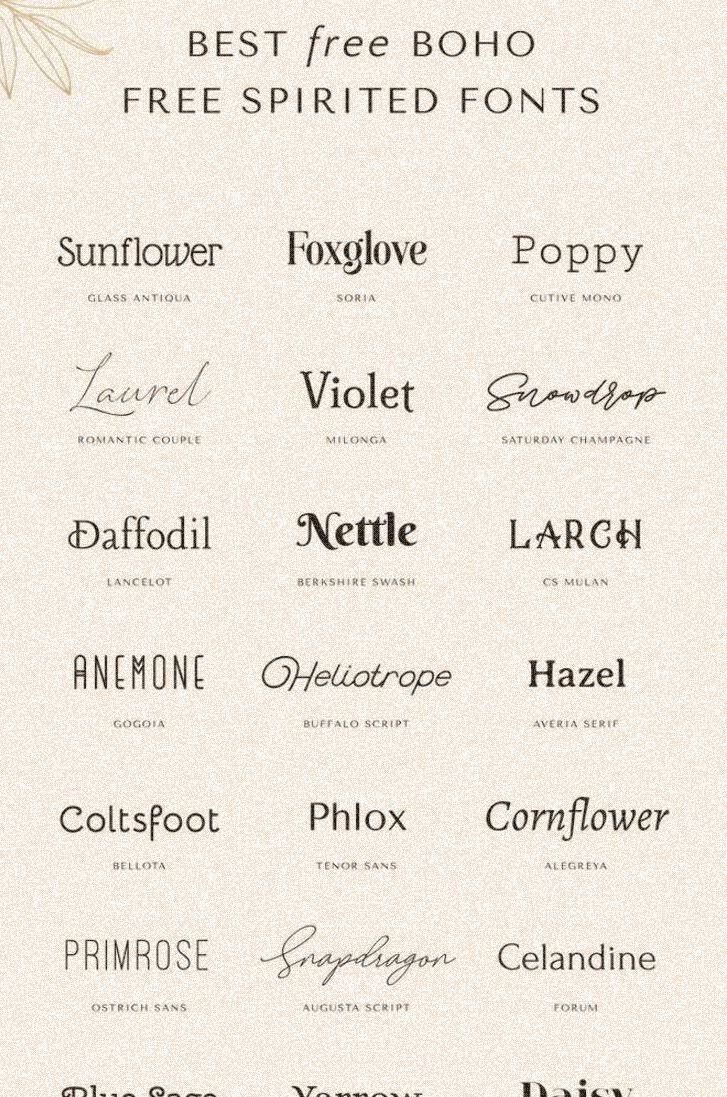 Canva’s Most Stunning Free Fonts