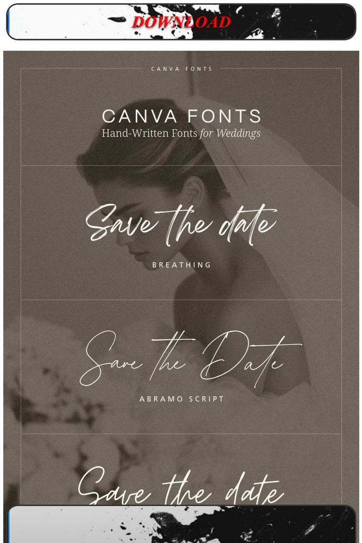 Victoria Lane Additional Details Card — 25 / Single Ply / Letterpress