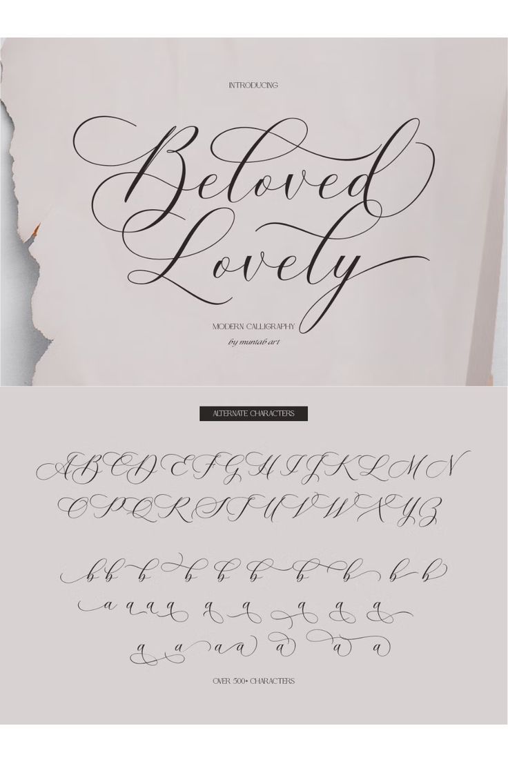 Beloved Lovely | Modern Calligraphy