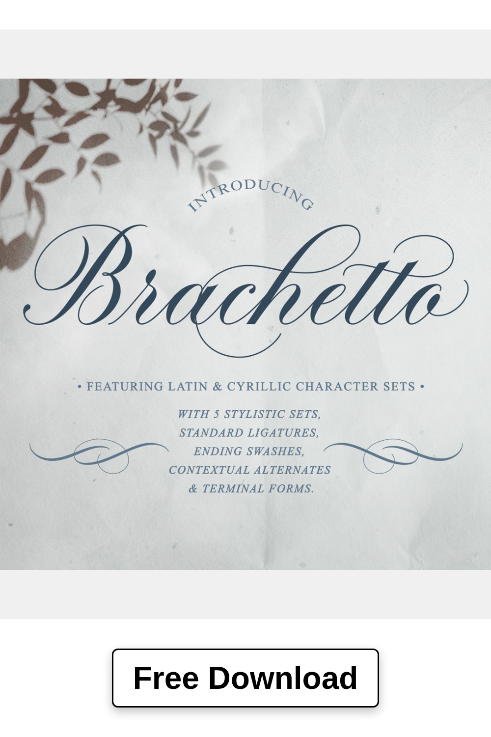 Brachetto — Calligraphy Script Font