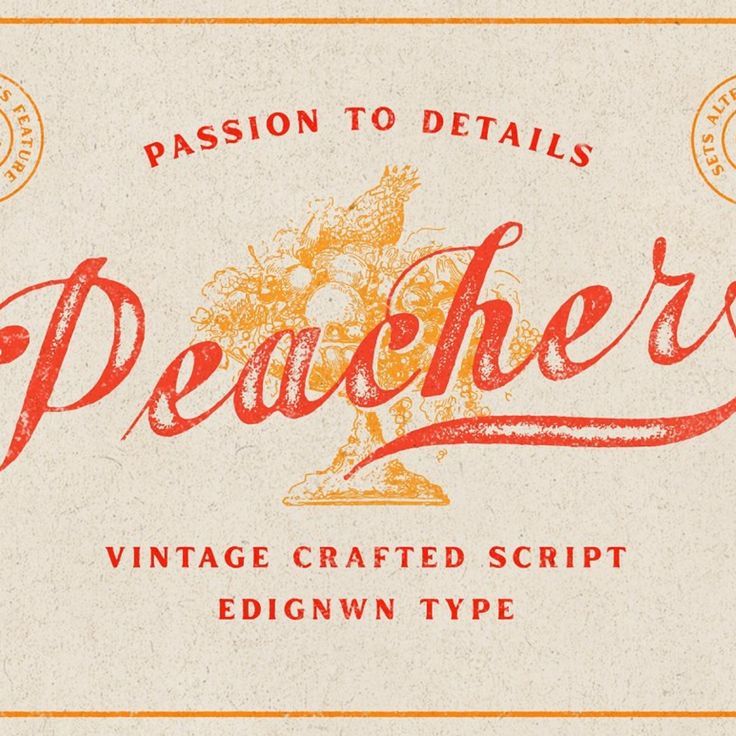 Peacher — Vintage Script Font
