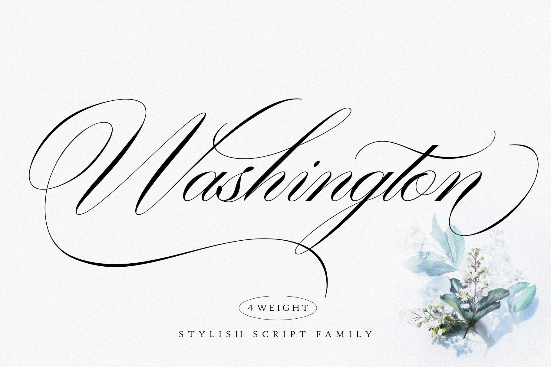 Washington | Stylish Script Family by Sealoung | Creative Market