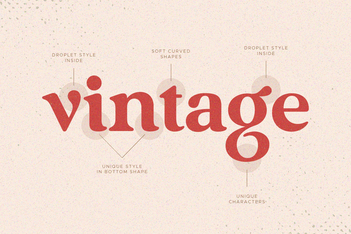 Vintage — Retro Serif Font