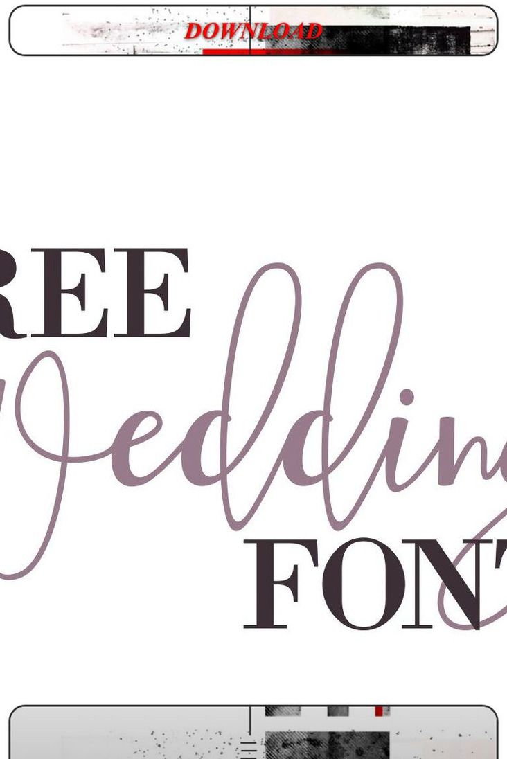 WT Bradford // Free Font.