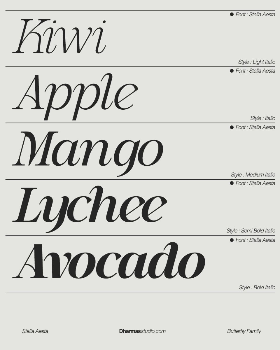 Explore the Complete Serif Font Family for Graphic Design and Typography
