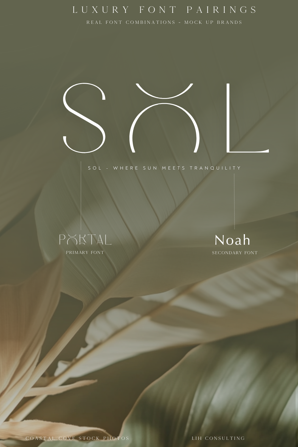 The Sophistication of Modern Serif Fonts