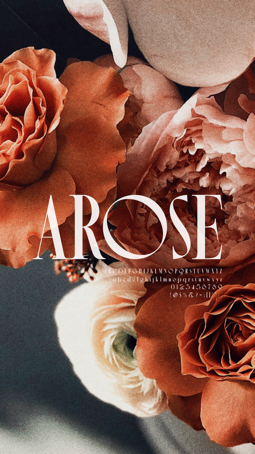 Discover Elegant Fonts: Download Free Serif & Handwritten Styles 😍