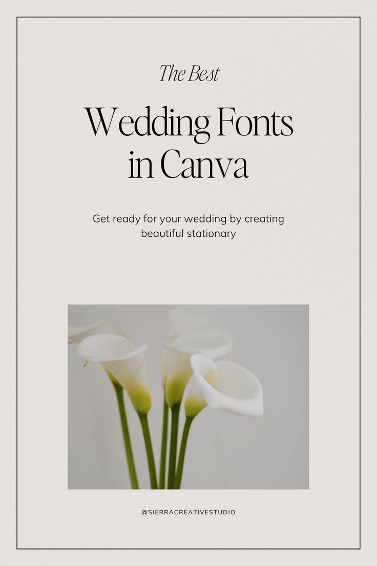 Best Wedding Fonts in Canva for Professional Designs