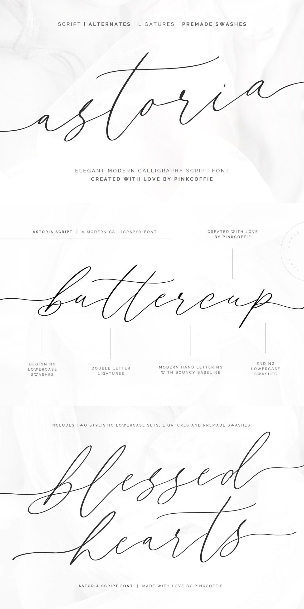 Wedding Script Font, Handwritten Font, Wedding Font, Invitation Font, Signature Font, Cricut Font, Calligraphy Font, Logo Font, Elegant Font — Etsy