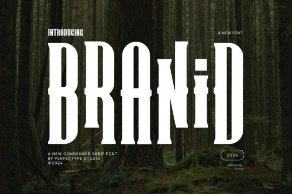 Serif Fonts [2026] | 2,309+ Popular Serif Fonts — Creative Fabrica