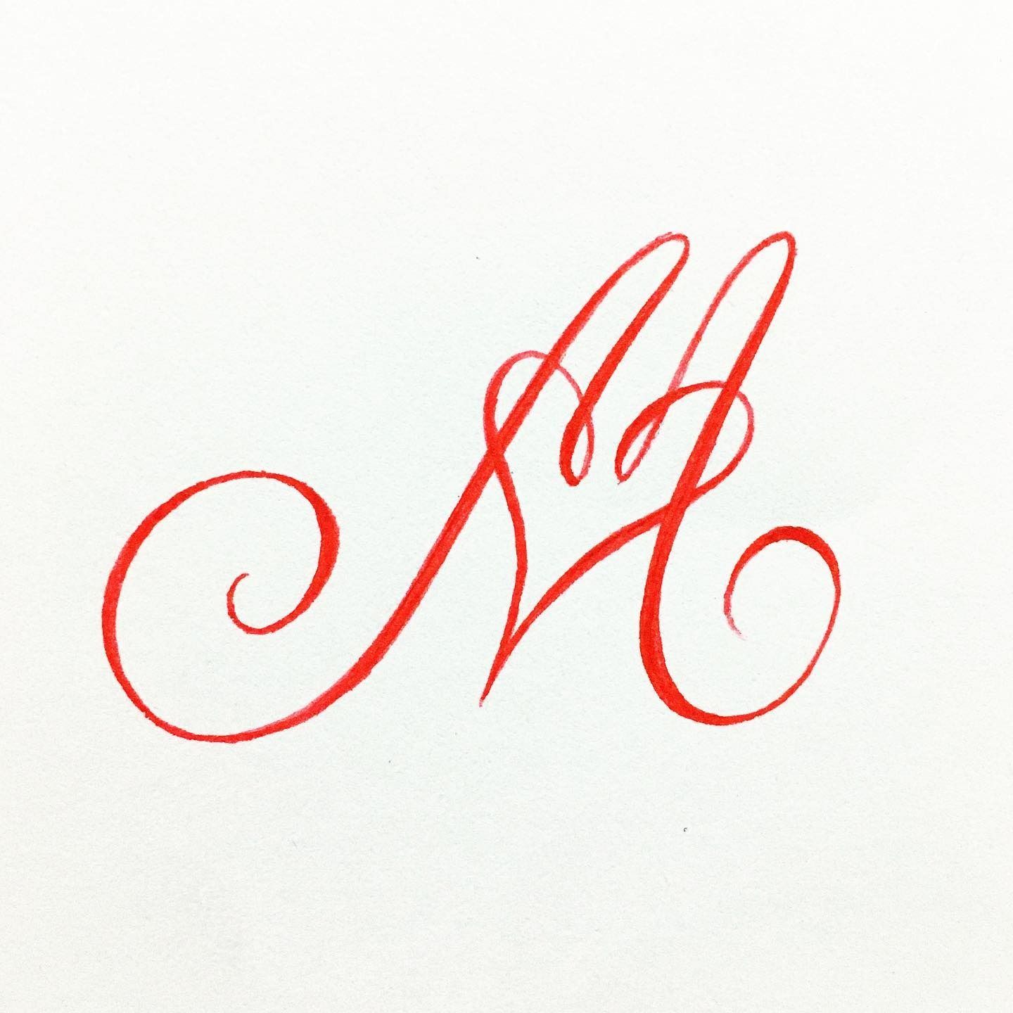 🌿 Script Inspiration from Time to Time