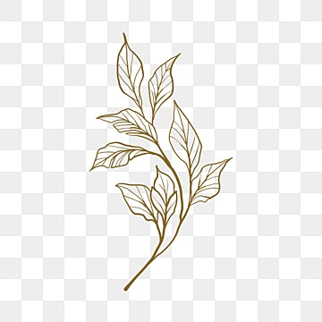 Floral Line Art PNG Picture, Line Art Floral For Wedding Element, Floral Drawing, Wedding Drawing, Floral Sketch PNG Image For Free Download