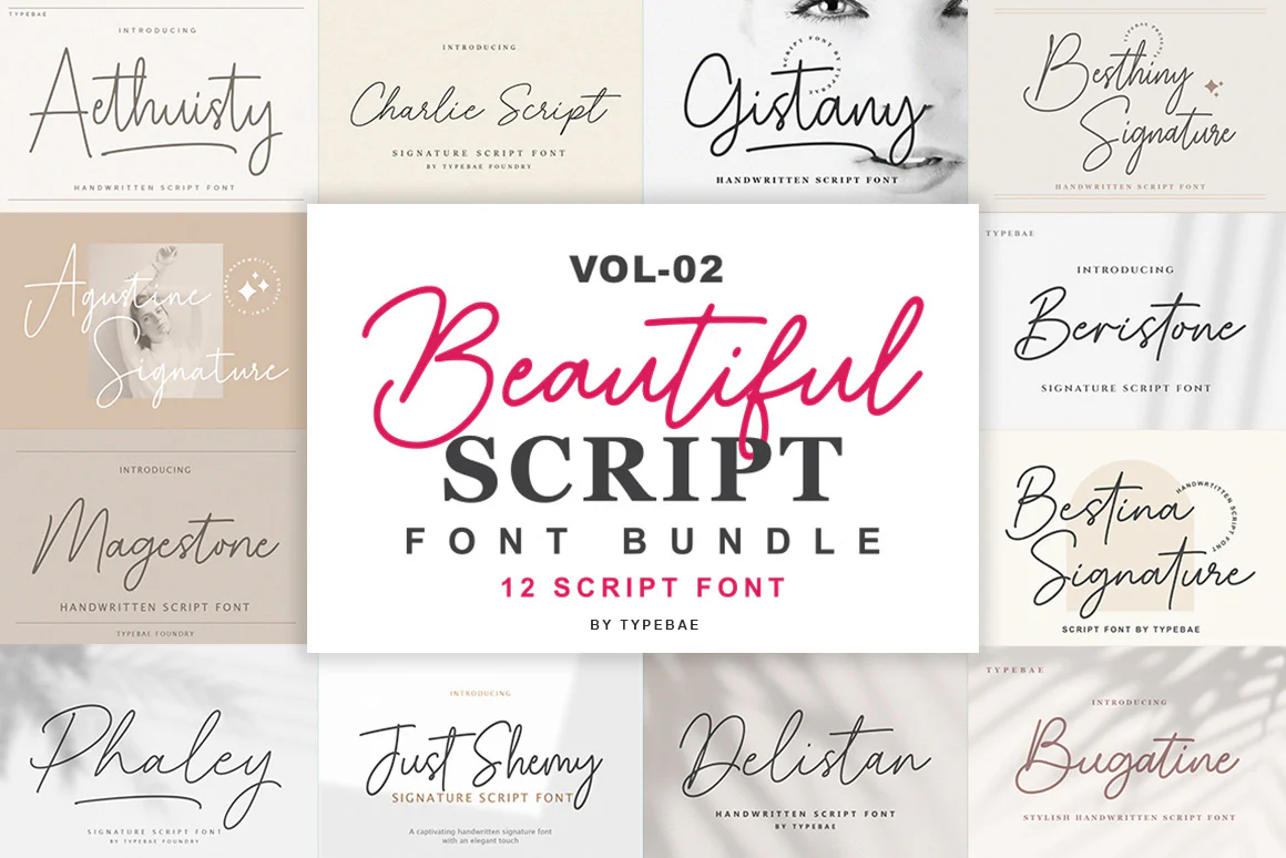 Beautiful Script Font Bundle Vol 2 includes 12 fonts.