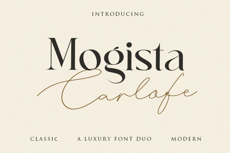 Mogista Carlofe Font: Modern Serif Font for Elegant Designs