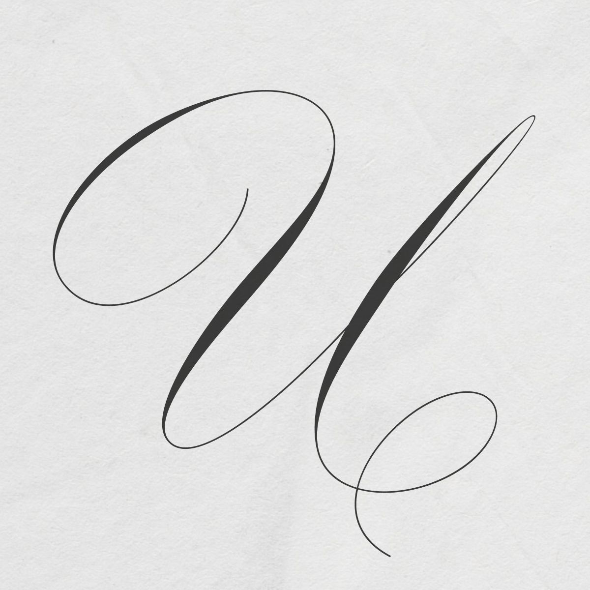 Juliette Script Font – Elegant Calligraphy for Wedding Designs