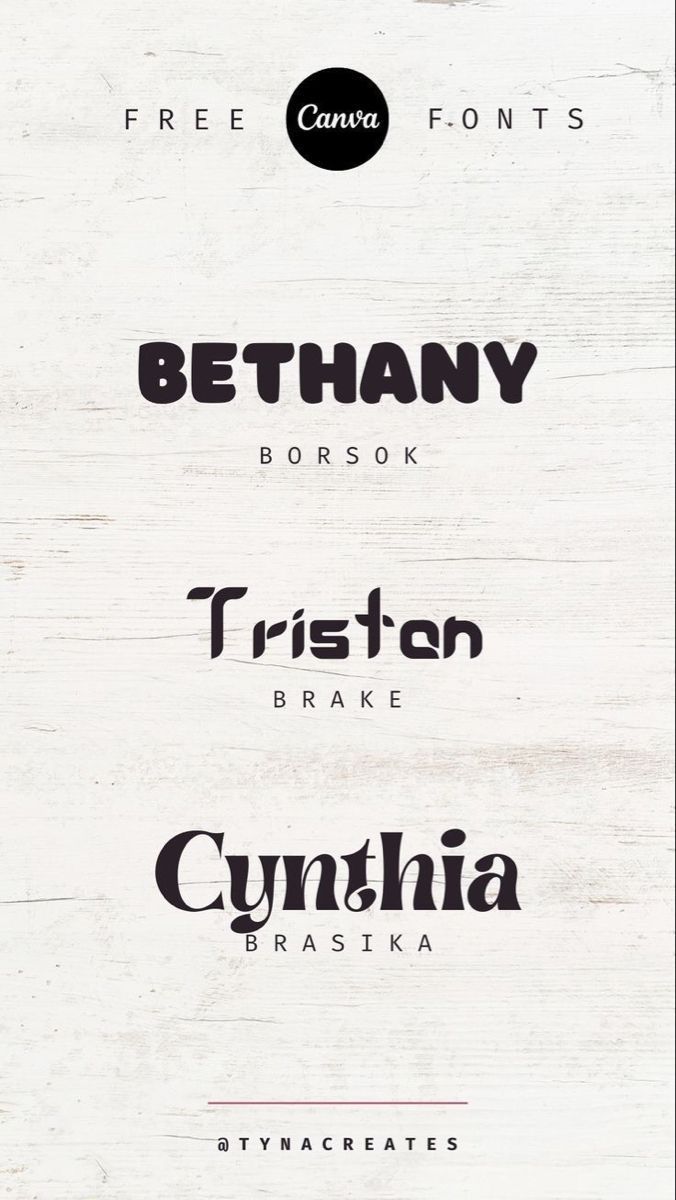 Fonts (2025) — 207059+ Free & Premium Fonts · Creative Fabrica