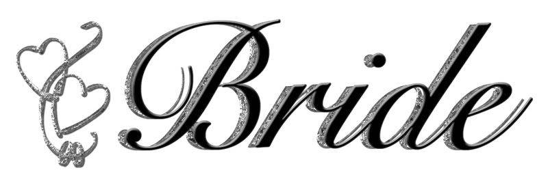 Need help with non-disney Bride and Groom Logo