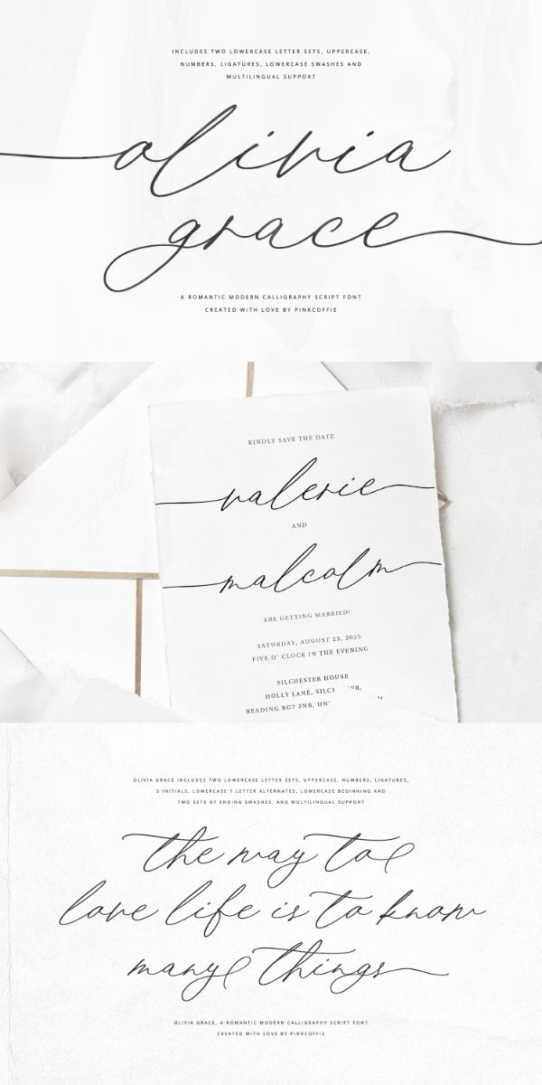 Wedding Script Font, Modern Calligraphy Script Font, Handwritten Font, Script Font by PinkCoffie