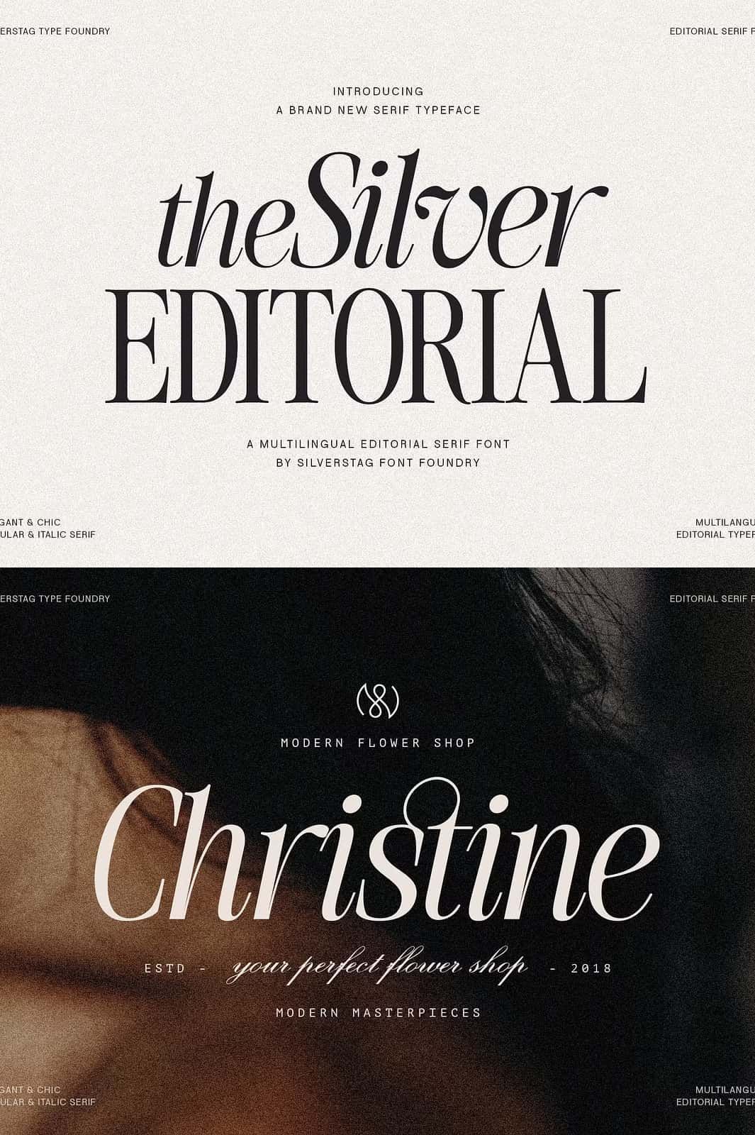 ❣️Elegant Silver Editorial Serif Font for Graphic Templates❣️
