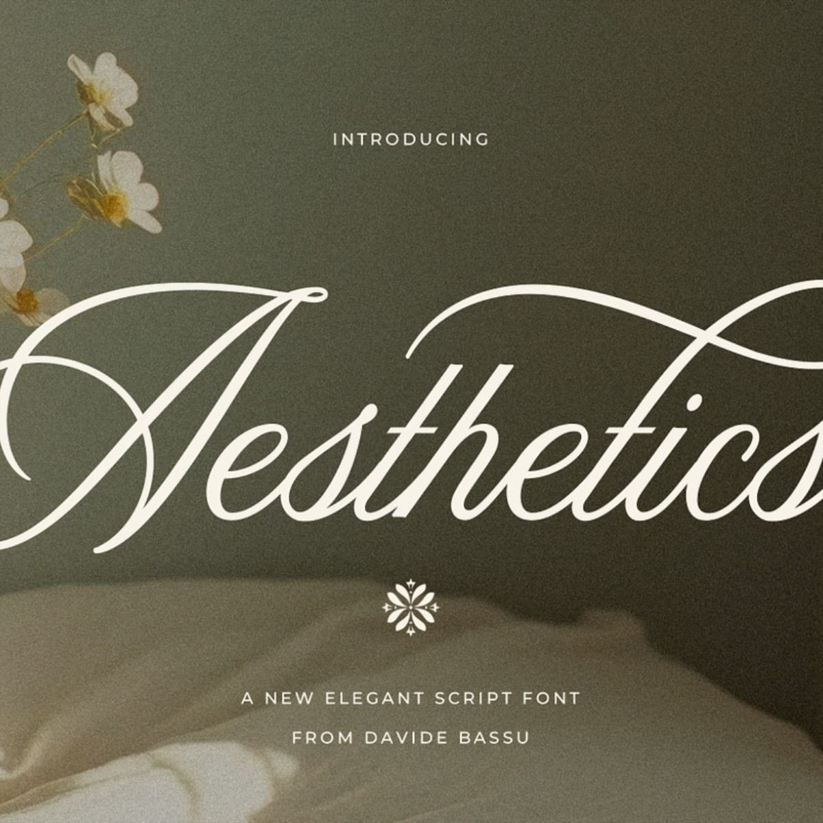 Aesthetics Romantic Script