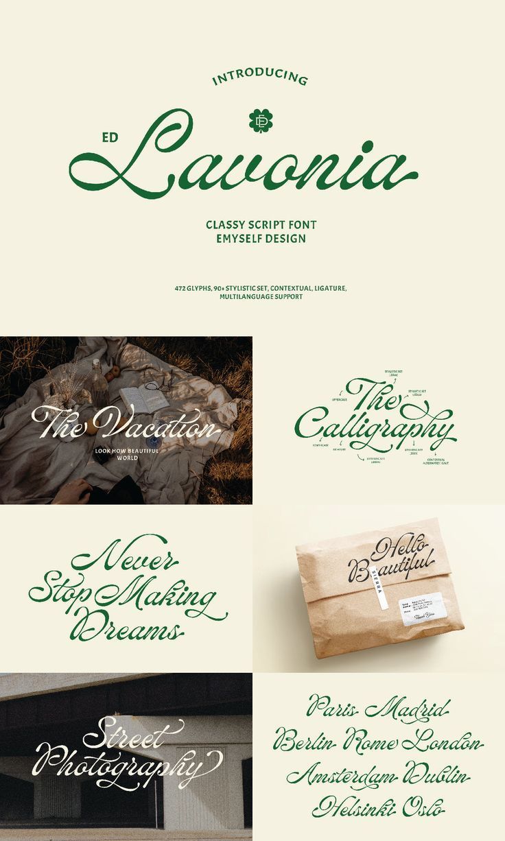 EDLavonia: The Spectacular Script Font Bundle