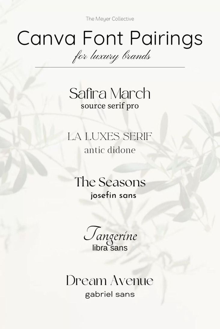 Elegant Canva Font Pairings for Luxury Branding in 2026