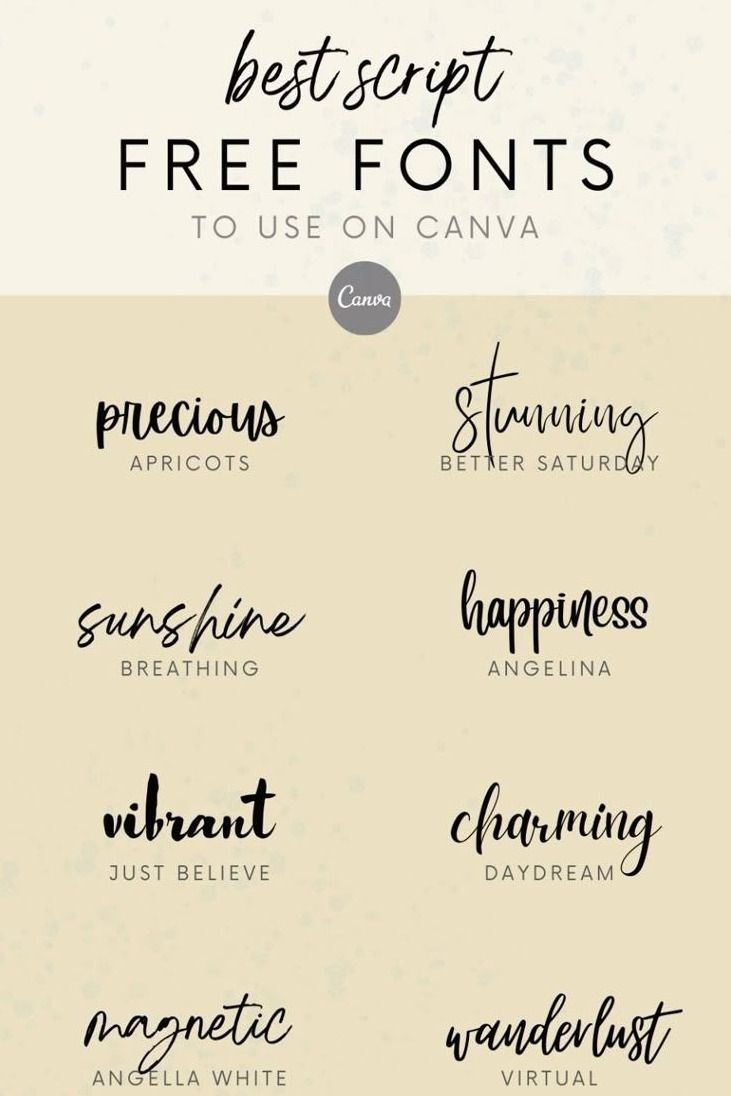 Elevate Your Business with Fun Canva Font Pairings