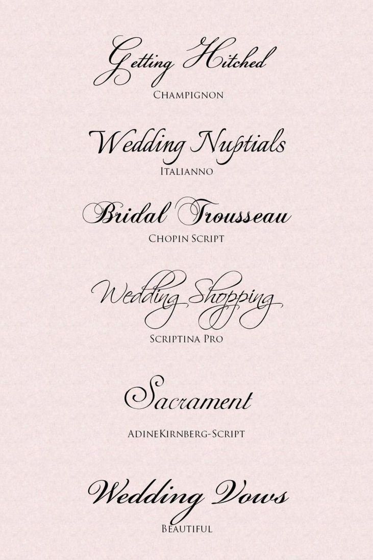 Modern Fonts for Wedding Cake Design
