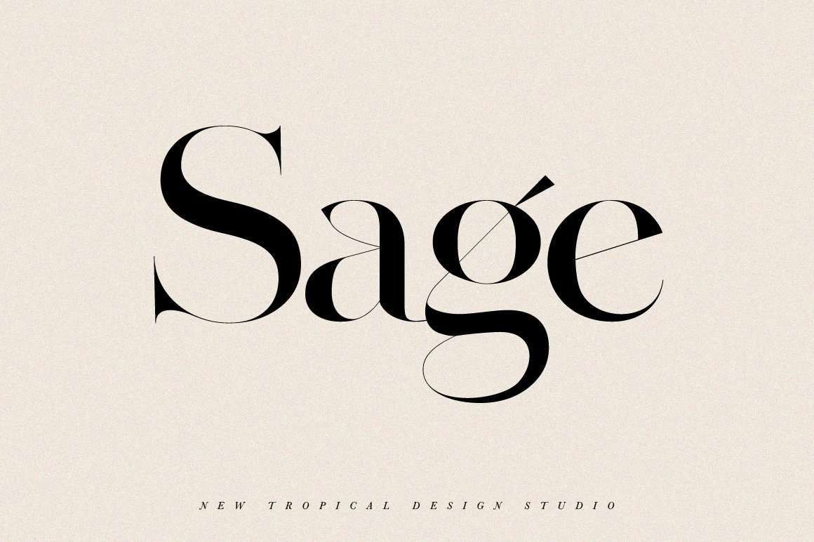 Free Sans Serif Font Download for Creative Projects🤗