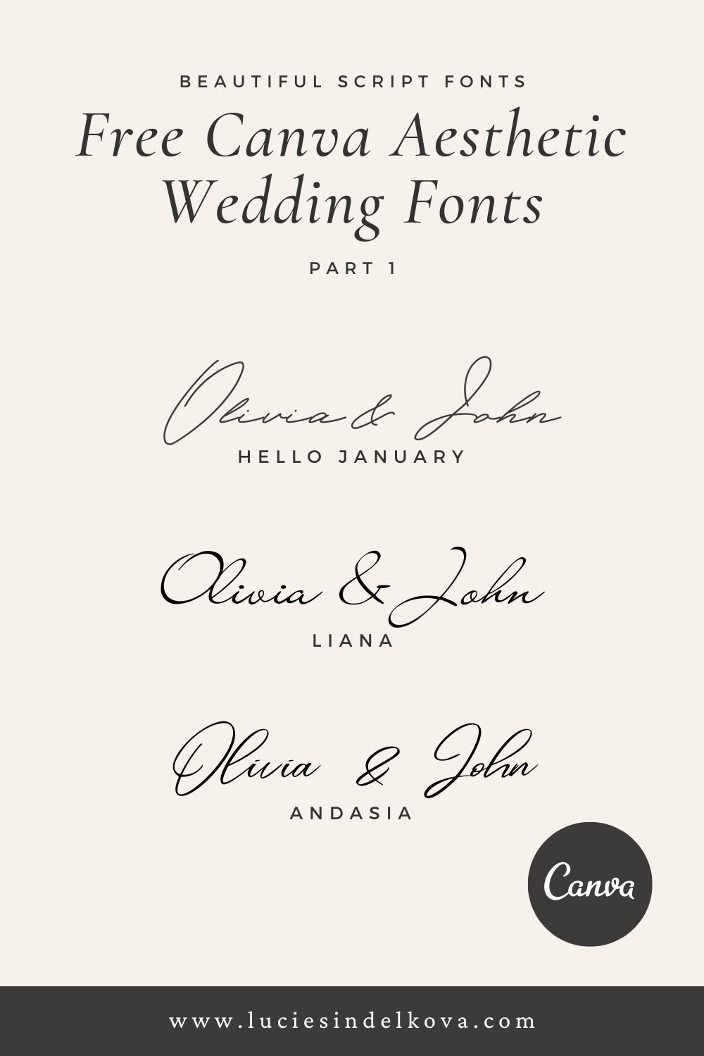10 Best Aesthetic Wedding Canva Fonts for Modern Designs