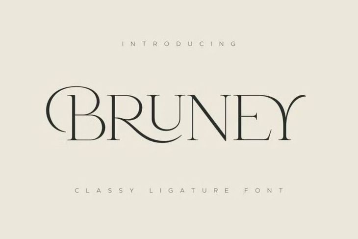 45+ Best Luxury & Elegant Fonts in 2025 (Free & Pro)