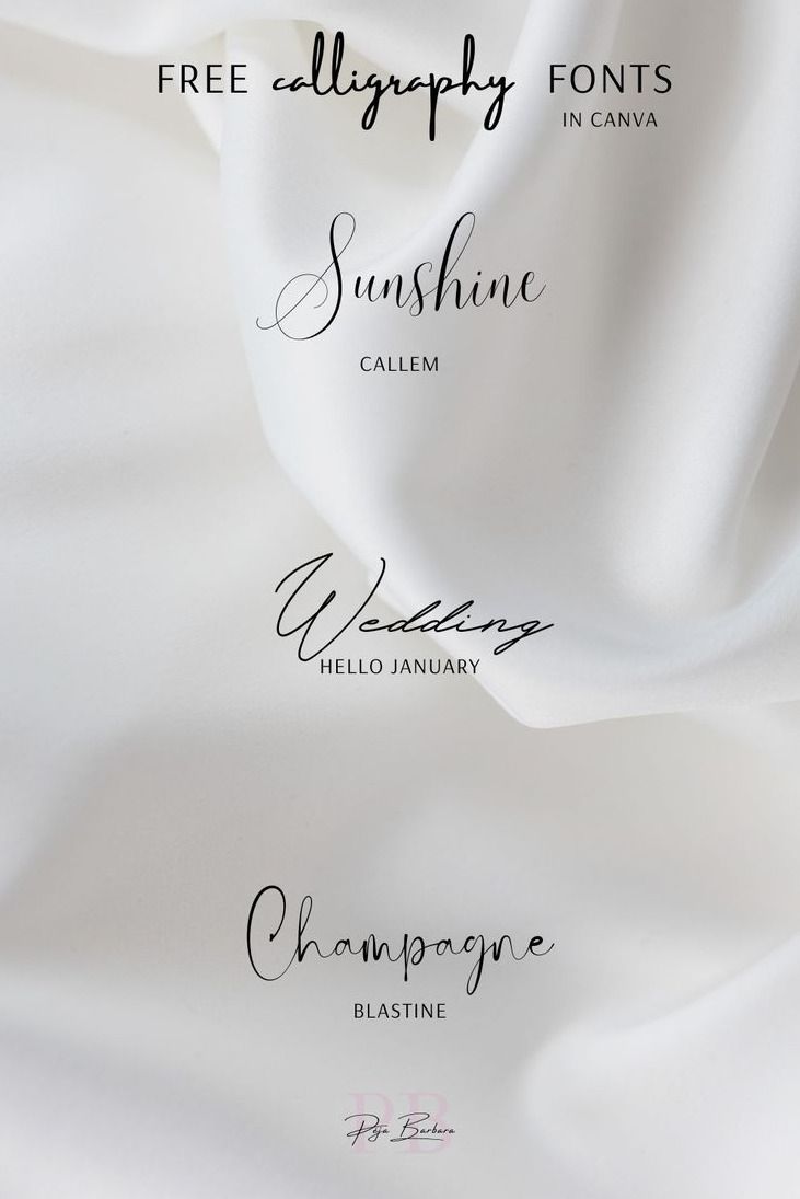 Free calligraphy fonts in canva