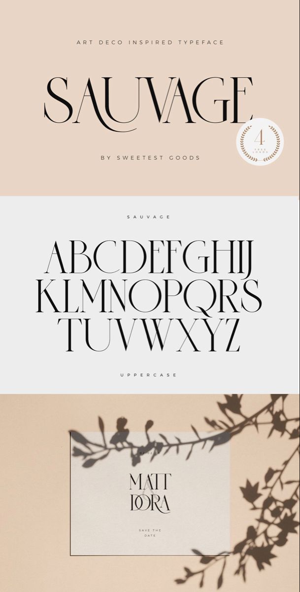 Sans Serif Fonts | 4,798+ Popular Sans Serif Font — Creative Fabrica